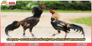 Gà Bị Hen - Nguyên Nhân Dấu Hiệu Và 3 Cách Xử Lý Nhanh Nhất