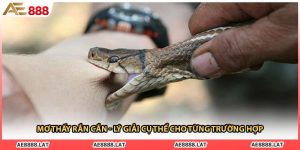 Mơ Thấy Rắn Cắn - Lý Giải Cụ Thể Cho Từng Trường Hợp