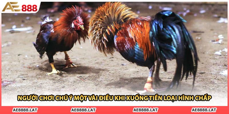 Người chơi chú ý một vài điều khi xuống tiền loại hình chấp