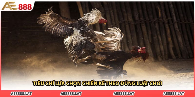 Tiêu chí lựa chọn chiến kê theo đúng luật chơi